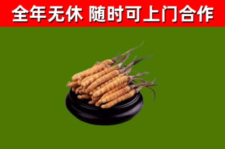 宁蒗县烟酒回收冬虫夏草.jpg