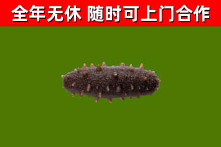 宁蒗县烟酒回收干海参.jpg